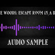 Load and play video in Gallery viewer, The Woods: Escape Room/Puzzle Box featuring audio storytelling component